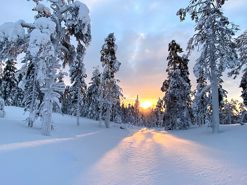Mittagssonne Finnisch Lappland